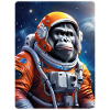 Gorille dans l’espace 1.4