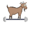Fancy weights
