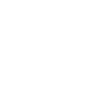Pensioner Pension