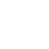 Pensioner Pension
