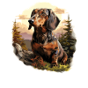 Chien teckel