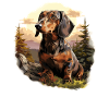 Chien teckel