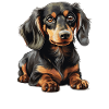 Chien teckel