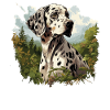 Dog Dalmatian