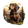 Dog Dachshund