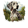 Dog Dalmatian