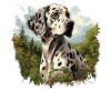 Dog Dalmatian