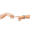 Adams Creation Feminist Edition