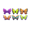 Butterfly Lover Gifts