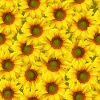 Flowerpower mit Sonnenblumen