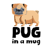 Pug in a mug