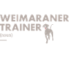 Weimaraner Trainer Definiton