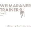 Weimaraner Trainer Definiton