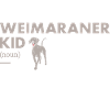 Weimaraner Kid Definition