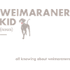 Weimaraner Kid Definition