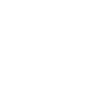 Zodiac sign Gemini symbol