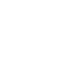 Geisha Skull