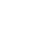Lead Never Follow Leaders