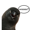 Waaaaas?