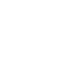 Lead Never Follow Leaders