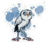 nachteule