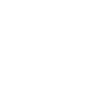 minimalist houseplant