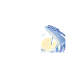 Wale beobachten