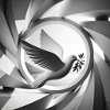 Dove of Peace with Geometry