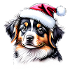 Australian Shepherd Christmas Dog Owner