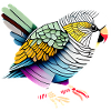 Calopsitte Perruche Oiseau Propriétaire d’oiseau