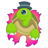 Turtle Hat