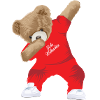 Dabbing Teddy