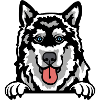 Alaskan Malamute: Majestic Arctic Companion