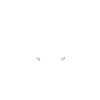 End Zone Sweet Home