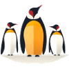 3 Penguins