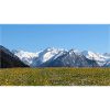 allgaeu alpen