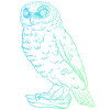 Majestic Owl - Purist Animal Motif