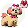 Maltesermädchen Love