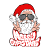 Joyeux Noël Merry Christmas