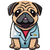 Dr M. Dog