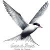 Breton Tern Heart of Breizh