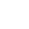 I am not insane