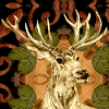 Hirsch