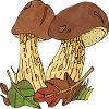Fungi