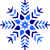 Snowflake Snow Icon