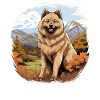 Dog Eurasier
