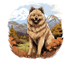 Dog Eurasier