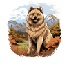 Dog Eurasier
