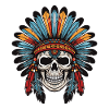 Apache Indian Skull