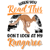 Australian Kangaroo Australia Kangaroo
